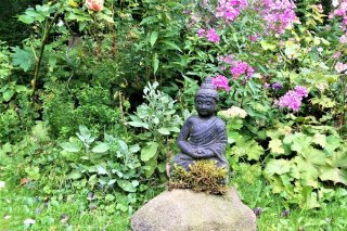 Buddha Yoga im stilvollen Ambiente